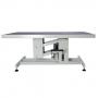 /tables-de-toilettage/table-de-toilettage-hydraulique-pluton-meca-p-4003296.2-600x600.jpg