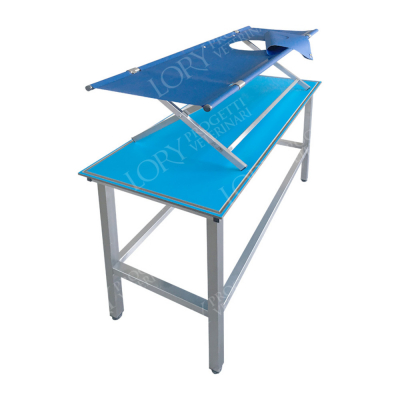Table-civière pour échographies positionnable sur une table
