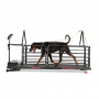 /tapis-de-course-pour-chiens-/tapis-de-course-haut-de-gamme-pour-chiens-dog-runner-ortho-pro-p-4002000.1-600x600.jpg