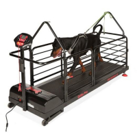 Tapis de course haut de gamme pour chiens – Dog Runner Ortho Pro