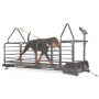 Tapis de course pour chiens – Dog Runner Révolution Pro