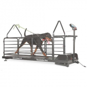 Tapis de course pour chiens Révolution Pro
