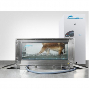 Tapis de course sous-marin pour chiens