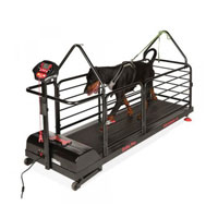 Tapis de course pour chiens 