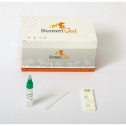 Test canin parvovirus, coronavirus et giardia