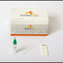 Test canin parvovirus, coronavirus et giardia
