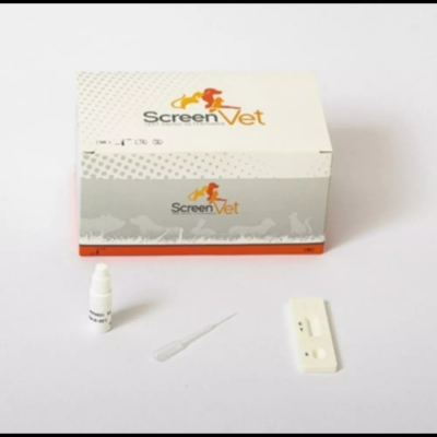 Test de dépistage de la dirofilariose canine