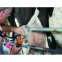 /tonte-pour-ovins-caprins-et-bovins/tondeuse-pour-queue-des-vaches-laitieres-p-4004078.2-600x600.png