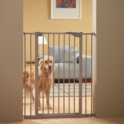 Barrière pour chiens