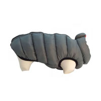 Vêtements pour animaux