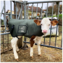 /vetements-pour-animaux/couverture-pour-veaux-p-4003224.2-600x600.png