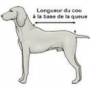/vetements-pour-animaux/manteau-pour-levrier-greyhound-impermeable-respirant-et-therapeutique-p-4003155.1-600x600.jpg