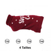 Pull pour chiens