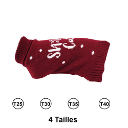 Pull pour chiens